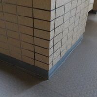 画像1646：カビの処理・・